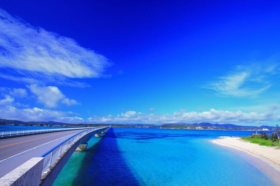 <1Dya Tour>Churaumi Aquarium, Cape Manzamo, American Village - Price and what $61 really covers
