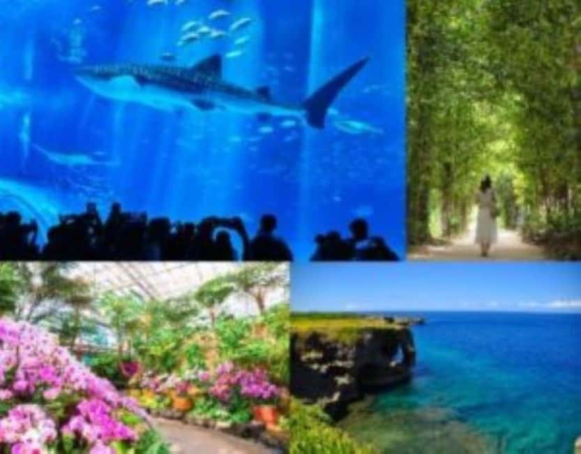 <1Dya Tour>Churaumi Aquarium, Cape Manzamo, American Village - Cape Manzamo and Elephant Rock: quick cliff drama in Okinawa