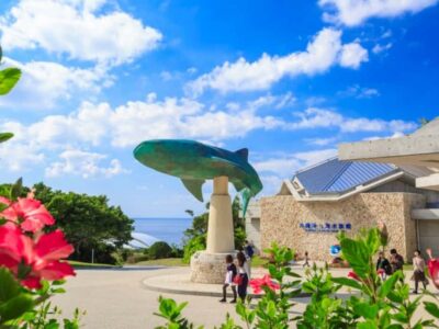 <1Dya Tour>Churaumi Aquarium, Cape Manzamo, American Village - How the bus day runs: pickups, timing, and pacing