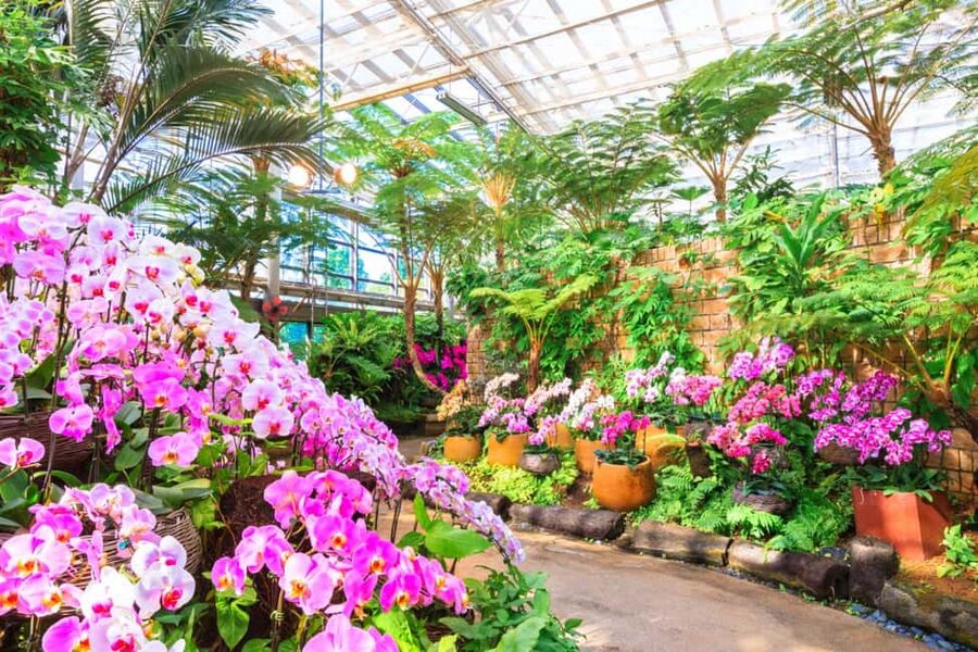 <1Dya Tour>Churaumi Aquarium, Cape Manzamo, American Village - Multilingual audio guide: the best way to use it on a bus day
