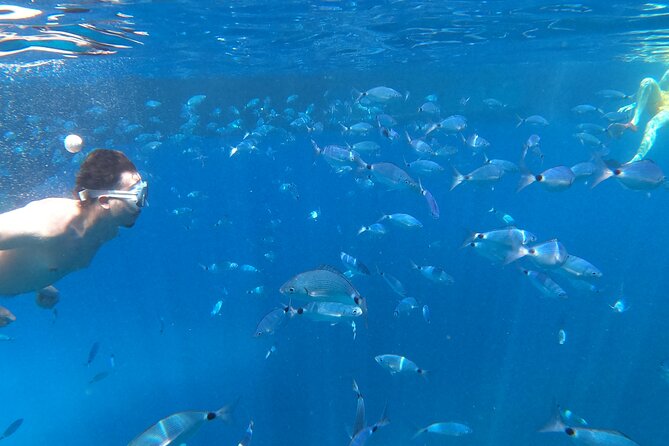3-Hour Northwest Coast Excursion: Aquarium and Islas Margaritas - Capitán Nemo Ibiza pickup: where it starts and what to expect