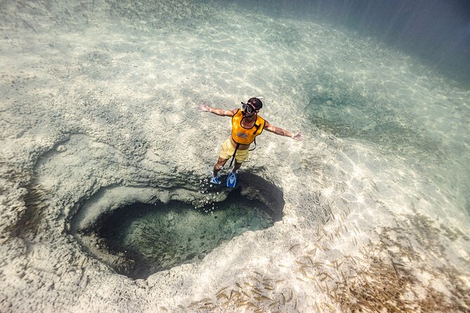 5-in-1 Cancun Snorkeling Tour with Sea Life & Transport Included - Key things to know before you go