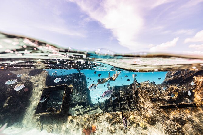 5-in-1 Cancun Snorkeling Tour with Sea Life & Transport Included - Stop 4: shipwreck snorkeling with coral, colorful fish, and white sand