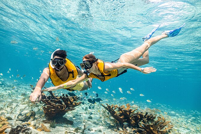 5-in-1 Cancun Snorkeling Tour with Sea Life & Transport Included - Gear, showers, and the quiet details that make snorkeling easier
