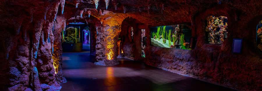 Abu Dhabi: National Aquarium Entrance Ticket - Key things to know before you go