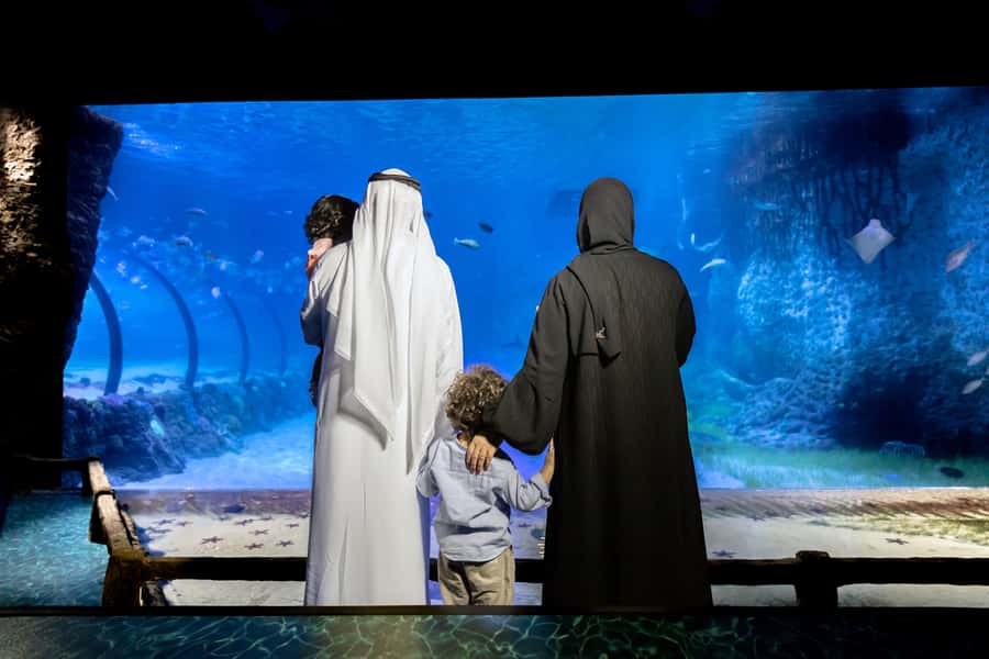 Abu Dhabi: National Aquarium Entrance Ticket - Price and value: what $29 buys you (and what it doesn’t)