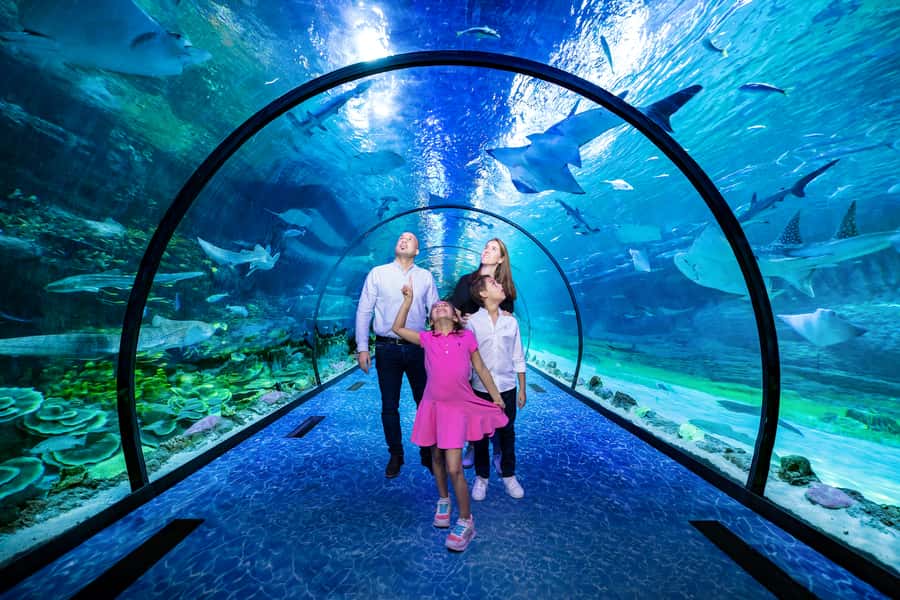 Abu Dhabi: National Aquarium Entrance Ticket - Your 1-day route through 10 zones, Pacific to Arctic