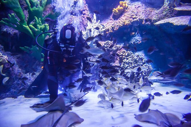 Alexander Waterfall and Antalya Aquarium Day Tour from Side - Alexandre Waterfall stop: 30 minutes by the Mediterranean