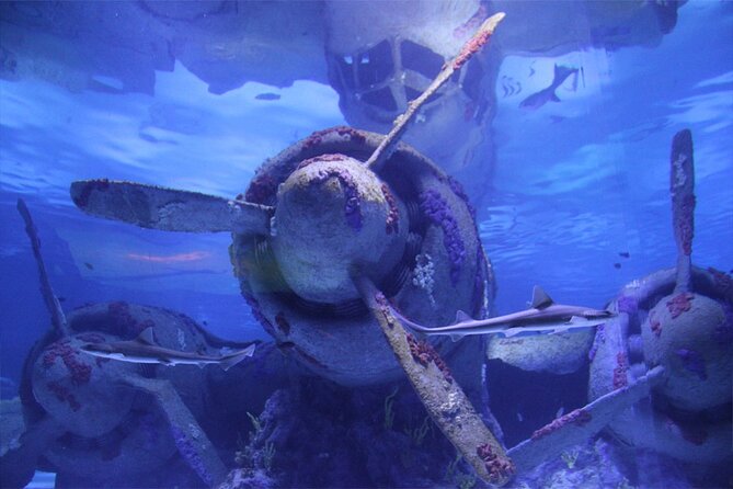 Alexander Waterfall and Antalya Aquarium Day Tour from Side - Kaleici Old City: 2 hours, sea views, and optional guided strolling