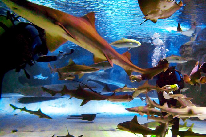 Alexander Waterfall and Antalya Aquarium Day Tour from Side - Timing, weather, and comfort: making the day work for you