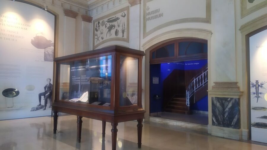 Algés: Vasco da Gama Aquarium Entry Ticket - Entering the Museum-Aquarium Experience (Not Just Tanks)