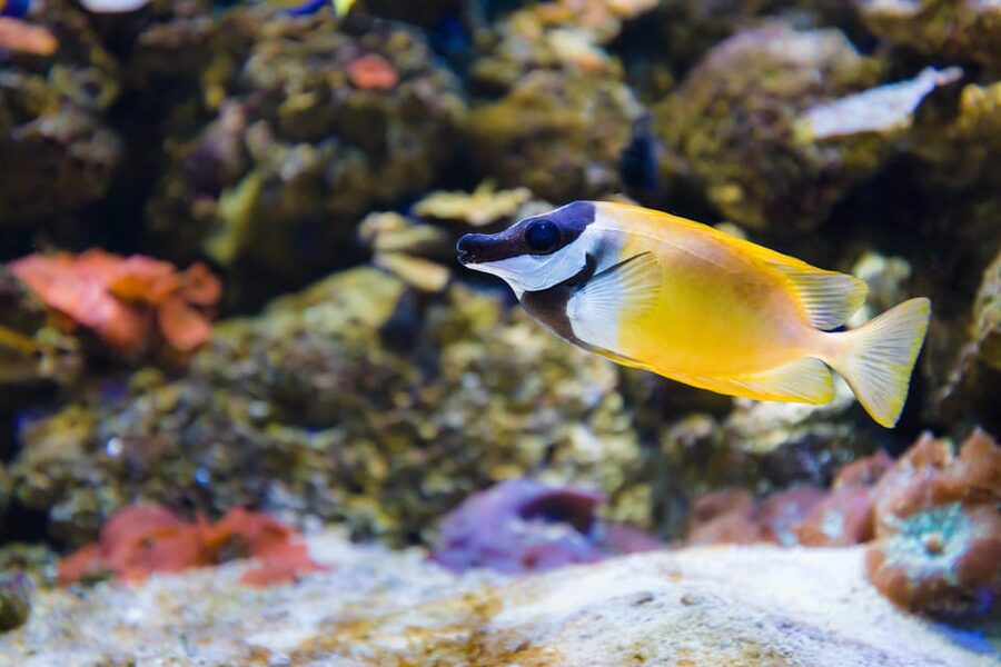 Almería: Aquarium Costa de Almería Entry Ticket - Water Cycle Learning and Conservation Panels: Fun That’s Actually Useful