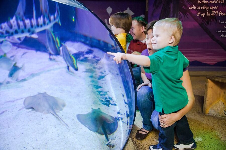 American Dream: SEA LIFE® Aquarium Entry Ticket - Timing Inside a 1-Day Entry: How to Plan Without Rushing