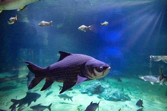 Angkor Wildlife & Aquarium Halfday tour - Price and Value: Is $29 a Fair Deal for This Halfday?