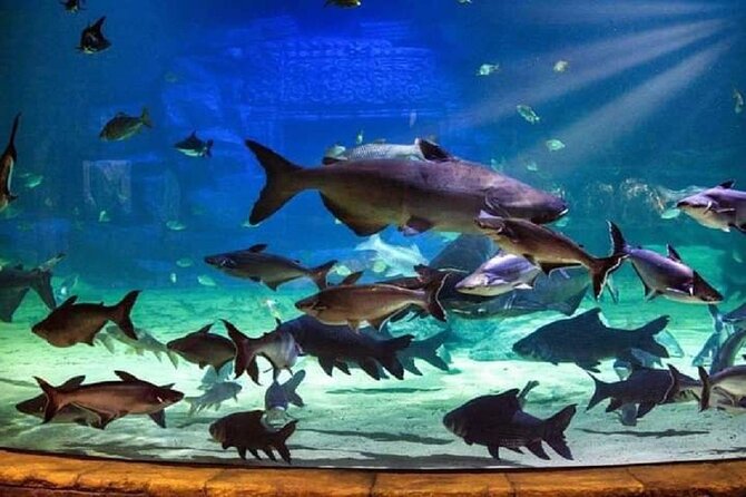 Angkor Wildlife & Aquarium Halfday tour - FAQ