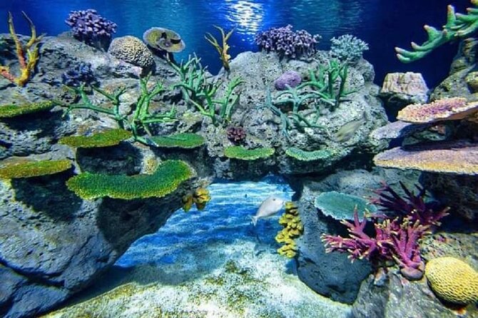 Angkor Wildlife & Aquarium Halfday tour - Angkor Wildlife & Aquarium: Fish Feeding and Wildlife You Can Actually Point At