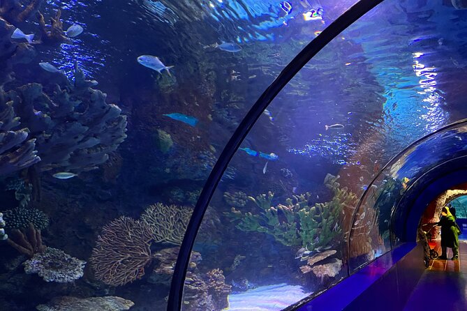 Antalya Aquarium and Face to Face Wax Museum Private Transfer - Should You Book This Antalya Aquarium + Face2Face Combo?