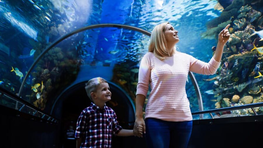 Antalya: Aquarium and Wax Museum Entry Ticket - Antalya’s Two-for-One Ticket: Aquarium Tunnel Meets Wax Celebrities