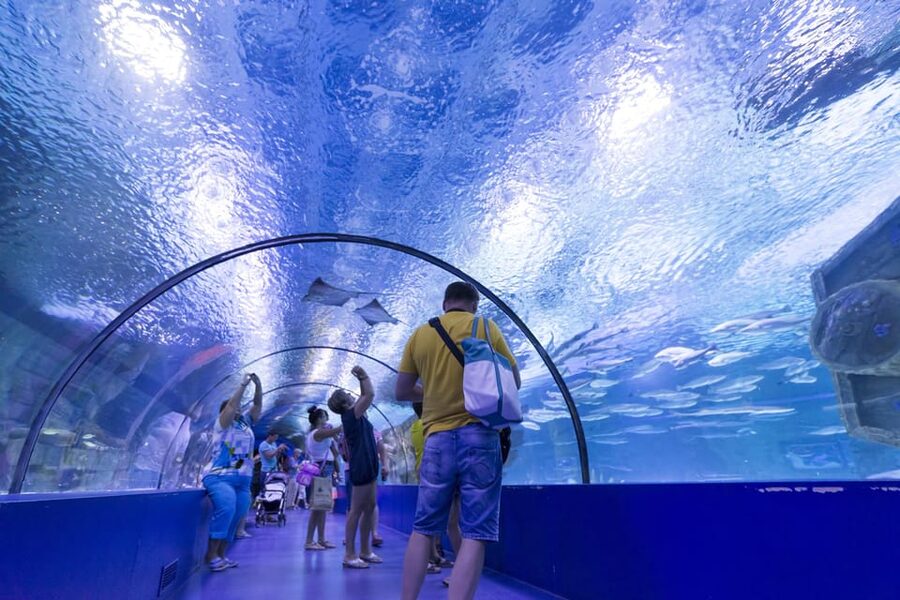 Antalya: Aquarium and Wax Museum Entry Ticket - XD Cinema and Extra Attractions You May Want to Add