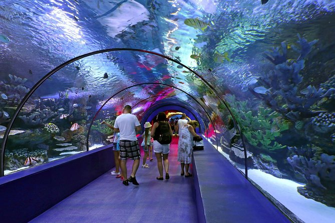 Antalya: Aquarium Ticket With Optional Transfer - Ticket value: what you’re really paying for