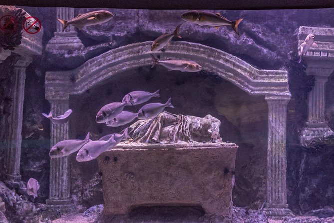 Antalya: Aquarium Ticket With Optional Transfer - The biggest drawback: pickup confusion and the fix