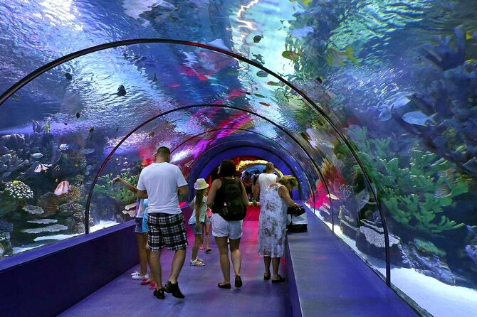 Antalya: Aquarium, Wax Museum & Combo Package Options - Antalya Aquarium + Wax Museum: why this combo works