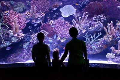 Antalya: Aquarium, Wax Museum & Combo Package Options - Entering the aquarium: skip-the-line, flexible timing, and what it changes