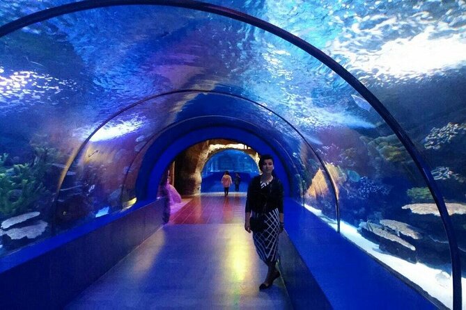 Antalya: Aquarium, Wax Museum & Combo Package Options - Rivers of Asia, plus the Nile and Amazon