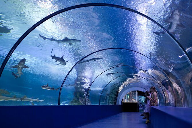 Antalya: Aquarium, Wax Museum & Combo Package Options - Photo extras: green screen souvenirs and quick fun