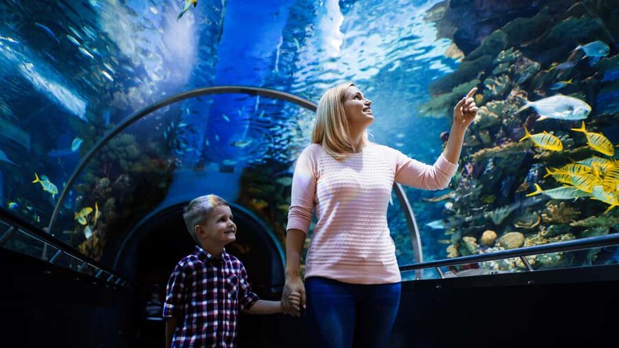 Antalya: Aquarium, Wax Museum, Snow World, Wild Park - Why Antalya Aquarium Works as a Full-Day Plan in Antalya
