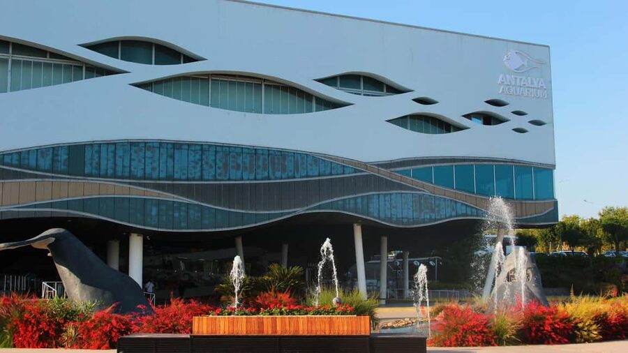 Antalya: Aquarium, Wax Museum, Snow World, Wild Park - The Tropical Reef and Shark Tank: Your Best Chance for a Live Moment