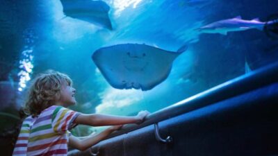 Antalya: Aquarium, Wax Museum, Snow World, Wild Park - Your Route Inside: Ocean Sections, River Worlds, and the Aquarium’s Layout
