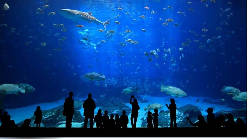 Antalya: Aquarium, Wax Museum, Snow World, Wild Park - Traveling the Nile and Amazon: Why River Displays Feel Different