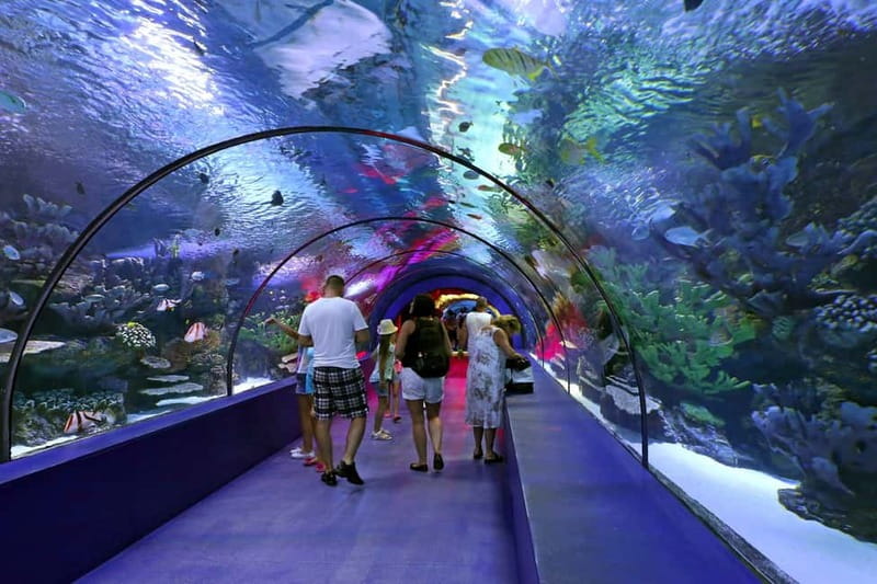 Antalya: Aquarium, Wax Museum, Snow World, Wild Park - The World’s Biggest Tunnel Aquarium and the Lost City of Atlantis