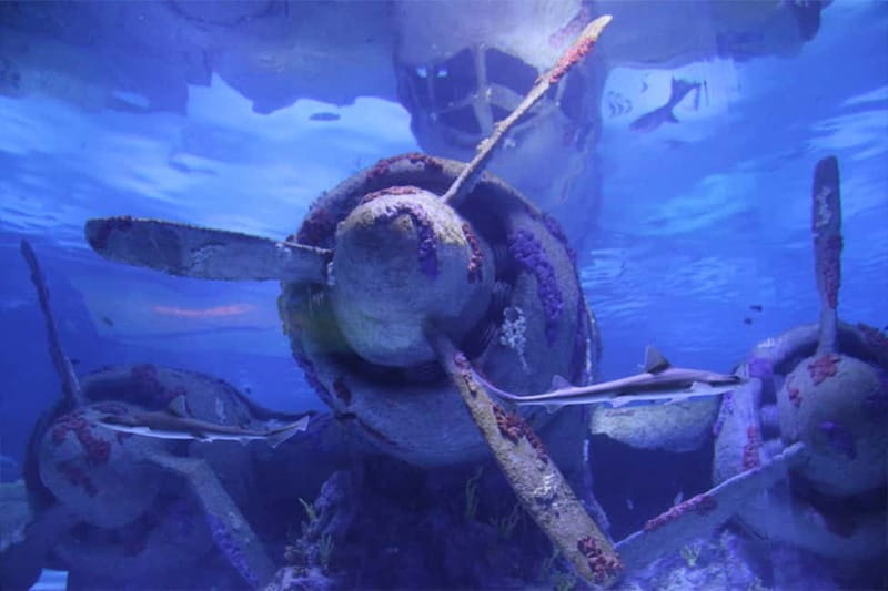 Antalya: Aquarium, Wax Museum, Snow World, Wild Park - Hollywood-Style Green Screen Photos: A Fun Souvenir Moment