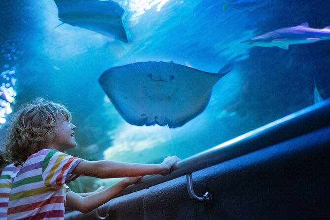 Antalya Half-Day Private City Tour with Aquarium Visit - How This 4-Hour Antalya Private Tour Fits Real Travel Days