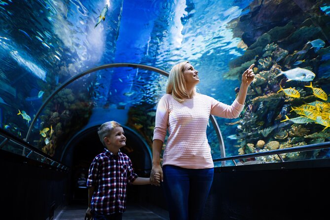 Antalya Half-Day Private City Tour with Aquarium Visit - Price and value: is $180.04 per person worth it?