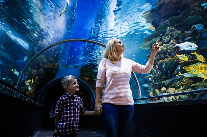 Antalya Half-Day Private City Tour with Aquarium Visit - Small planning tips that make a real difference