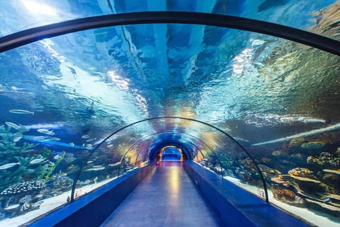 Antalya Tunnel Aquarium - Departure from Side - A Long Day From Side With a Ticketed Aquarium Plan