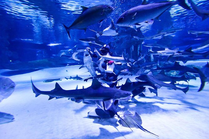 Antalya Tunnel Aquarium - Departure from Side - Transfers and Air-Conditioned Comfort: The Overlooked Upgrade