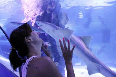 Antalya Tunnel Aquarium - Departure from Side - Price, Transfers, and What $68.30 Buys You