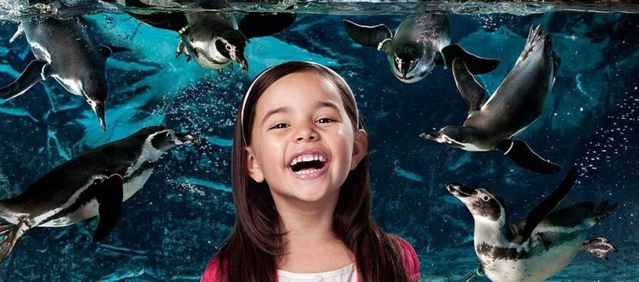 Aquarium of Cattolica Entry Ticket - Rivers and the reptile house: where the Green route adds variety