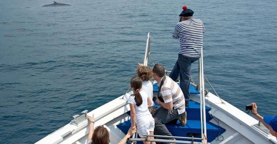 Aquarium of Genoa Ticket and Whale Watching Cruise - What makes the whale cruise special: Pelagos Sanctuary routes from Genoa