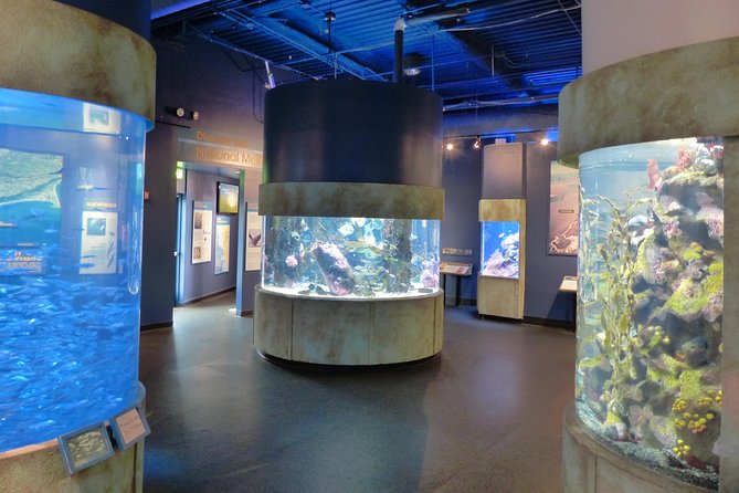 Aquarium of the Bay General Admission Ticket - Pier 39 setup: picking your arrival time and finding the vibe