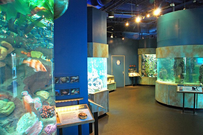 Aquarium of the Bay General Admission Ticket - What else you might catch: docents, divers, and hands-on moments