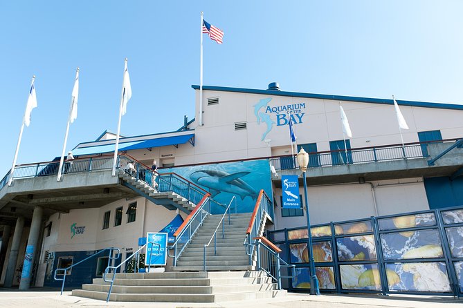 Aquarium of the Bay General Admission Ticket - Pairing it with Pier 39: a smooth day plan without rushing