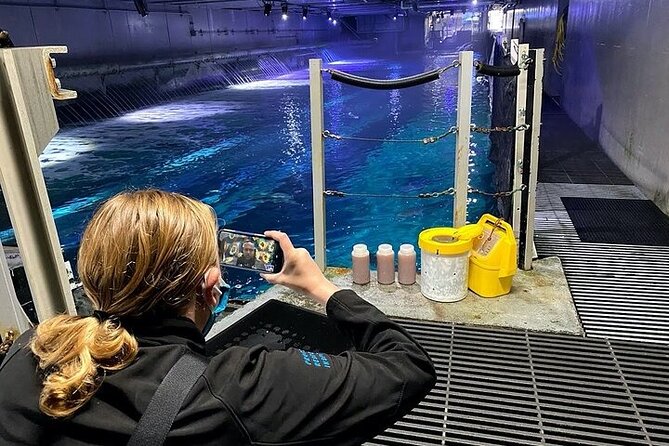 Aquarium of the Bay VIP Experience - Timing Tips for a Smooth 9:15 Start