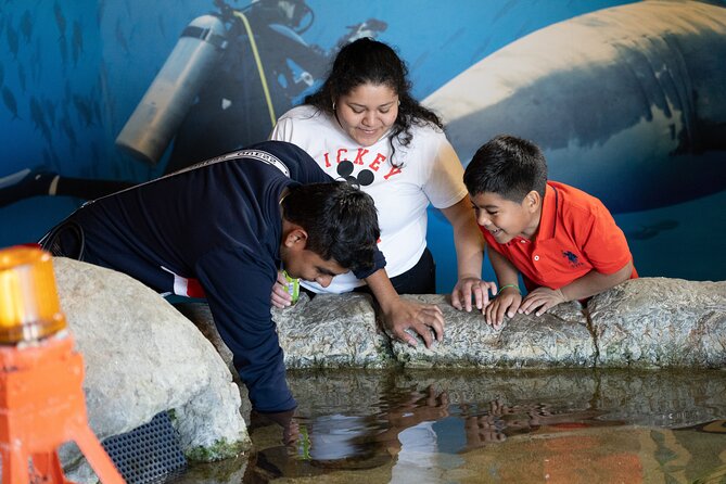 Aquarium of the Bay VIP Experience - Who This VIP Experience Fits Best in Your Trip