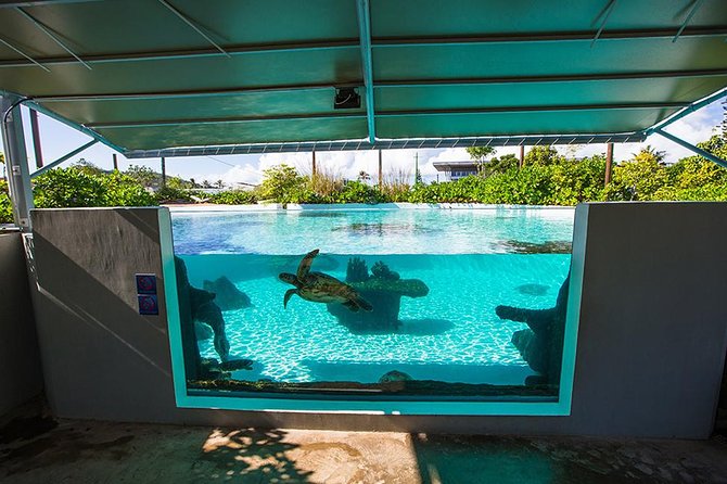 Aquarium Package in Nouméa's with Admission with Hop-on Hop-Off - Should you book this Aquarium package?