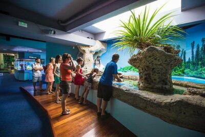 Aquarium Package in Nouméa's with Admission with Hop-on Hop-Off - Getting your ticket right: mobile entry that saves hassle